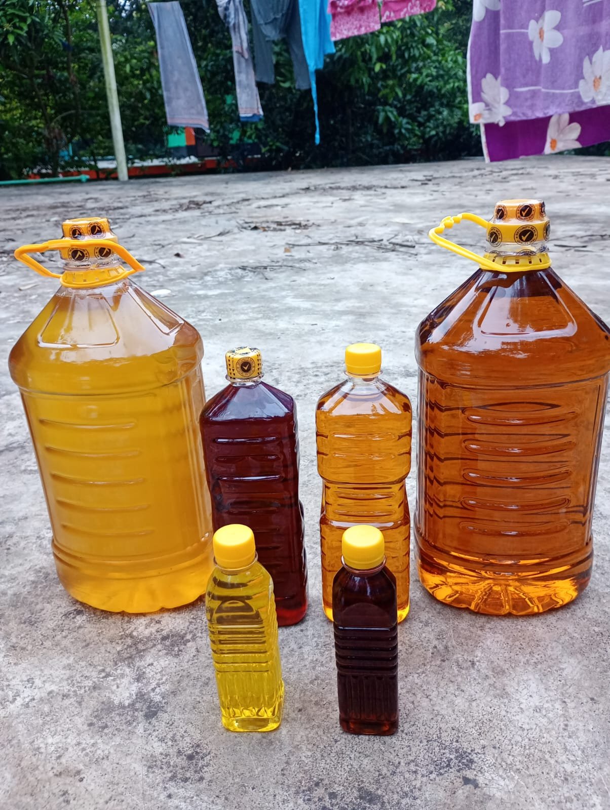 দেশি সরিষার খাঁটি তেল, প্রাকৃতিক উপাদানে শৈশবের সুরভিত স্মৃতি