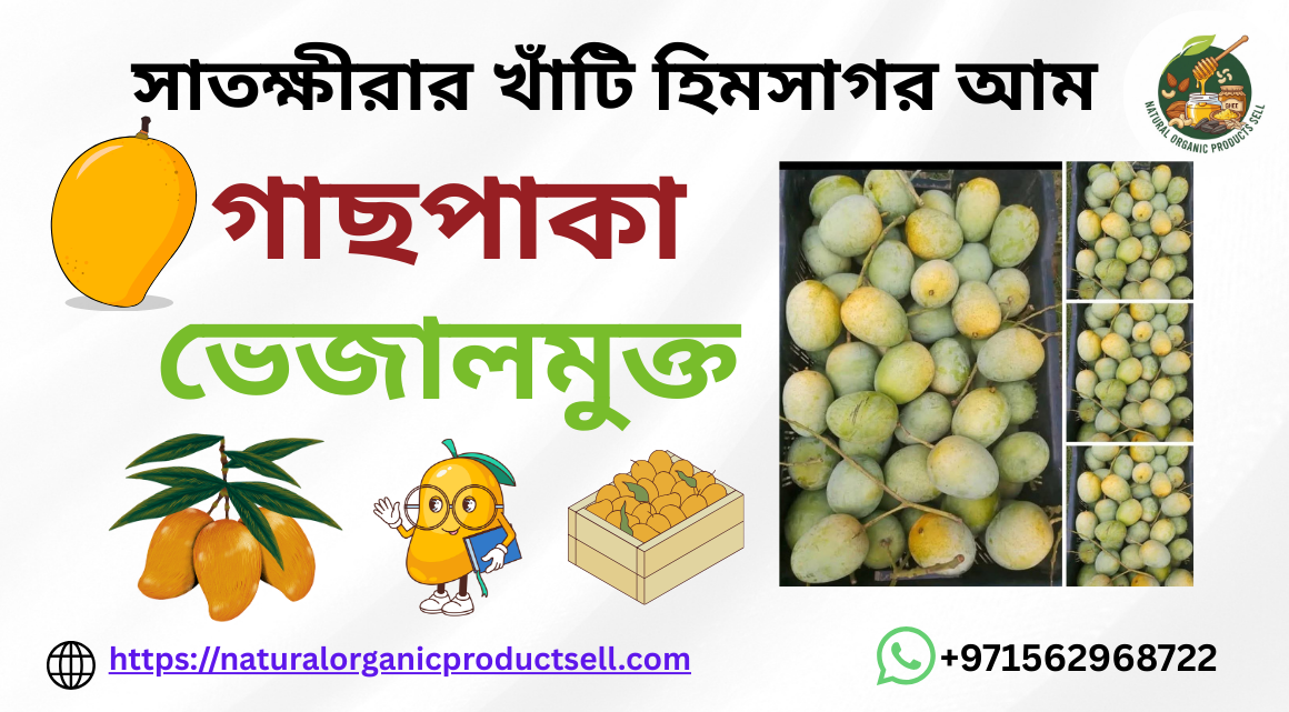 সাতক্ষীরার খাঁটি হিমসাগর আম Banner